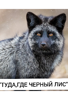 «Туда,где черный лис» (Elena Orlova)