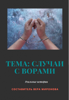 Тема: Случаи с ворами (Вера Миронова)