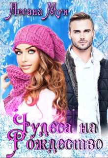 Чудеса на Рождество (Лесана Мун)