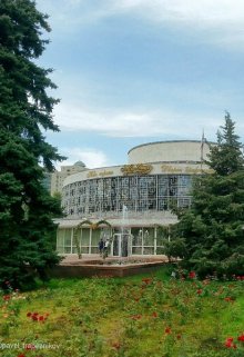 История, которая могла бы быть сказкой (Ирина Балан)