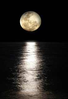 Дневник ведьмы. От тьмы к свету. (Юлия Санина)