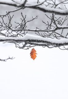 Январь (Александр Прудников)