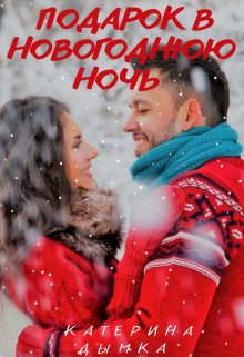 Подарок в новогоднюю ночь (Катерина Дымка)