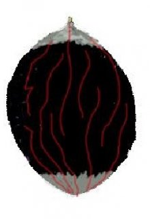 Олган (Сонейк)