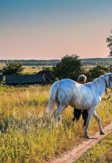 Жизнь прожить, не поле перейти. (Роза мира)