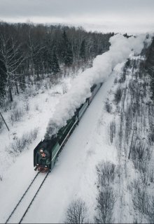 Разговорчивый сосед (Александр Прудников)