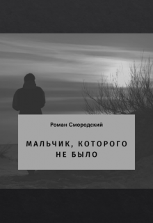 Мальчик, которого не было (Роман Смородский)