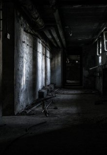 Тень (Вознин)