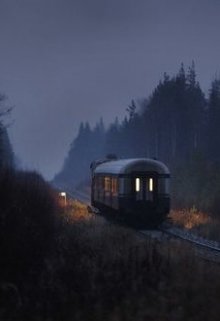 Попутчица (Инна Баушева)