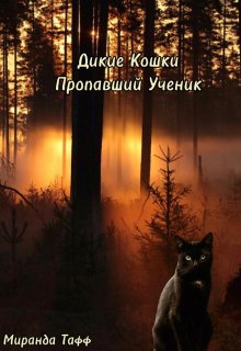 Дикие Кошки: Пропавший Ученик (Миранда Тафф)