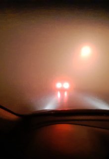 Основано на взаимном недоверии (Александра Короткая)
