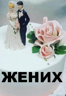 Жених (Нэтт)