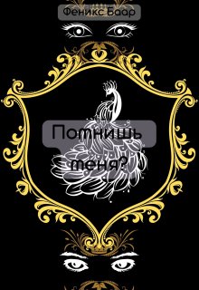 Помнишь меня? (Феникс Баар)