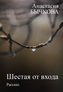 Шестая от входа (Анастасия Бычкова)