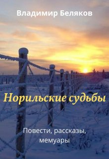 Норильские судьбы (Владимир Беляков)