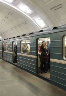 Мимолётная встреча (Карина Василь)