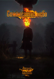 Сожжённое небо (Василий Бронский)