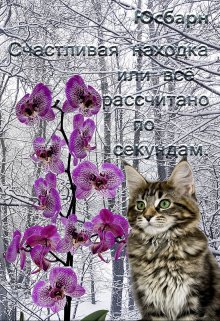 Счастливая находка или всё рассчитано по секундам. (Юсбарн)