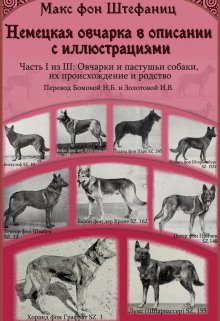 Немецкая овчарка в описании с иллюстрациями. Часть 1 из 3 (Ирина Золотова)