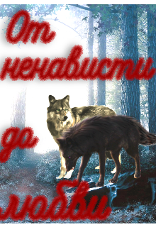 От ненависти до любви (XarykAaa)