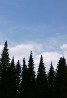 Жаль, что без тебя… (Луна без имени)