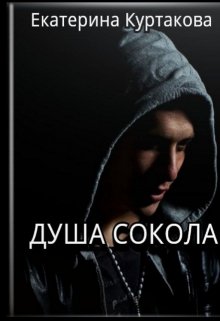 Душа Сокола (Екатерина Загородних)