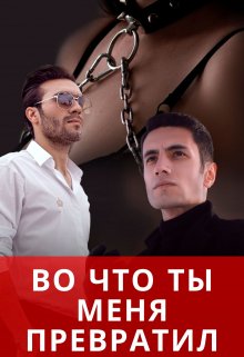 Во что ты меня превратил (Марта Мерло)