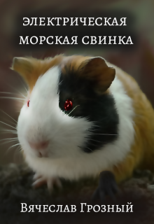Электрическая морская свинка (Вячеслав Грозный)
