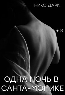 Одна ночь в Санта-Монике (Нико Дарк)
