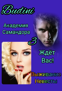 Академия Самандора ждёт вас! 3 (Budini)