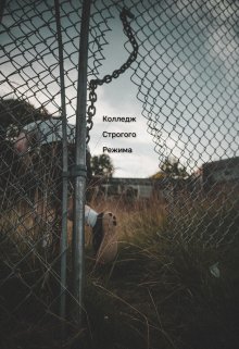 Колледж строгого режима (Грейс Беккет)