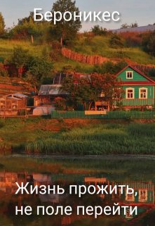Жизнь прожить, не поле перейти (Бероникес)