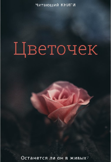 Цветочек (Читающий КНИГИ)