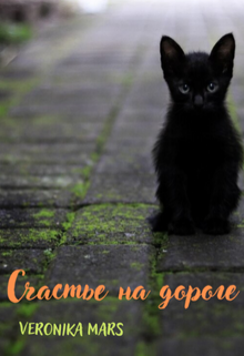 Счастье На Дороге (Veronika Mars)