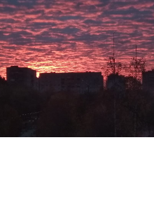 Ровно 100 лет (Арина Воскобойникова)