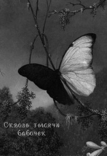Сквозь тысячи бабочек (Настя Авраменко)