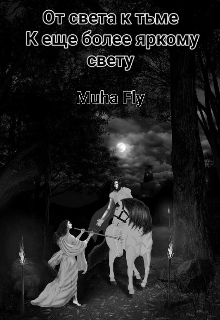 От света к тьме к ещё более яркому свету (Muha Fly)