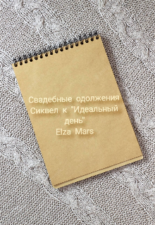 Свадебные одолжения (сиквел к «Идеальный день») (Elza Mars)