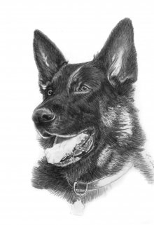 Попутчик (Brossman)