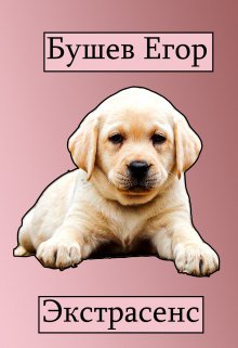 Экстрасенс (Бушев Егор)