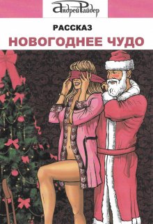 Новогоднее чудо (Андрей Райдер)