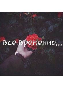Всё временно (Алья Харрис)