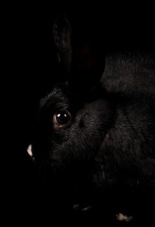 Наследие:неудача или удача? (Skaila)
