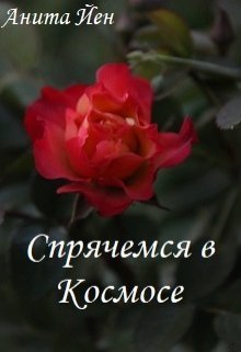 Спрячемся в Космосе (Анита Йен)