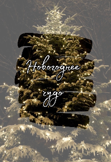 Новогоднее чудо (Мария Карелина)
