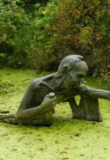 Убийство на болоте (Brossman)