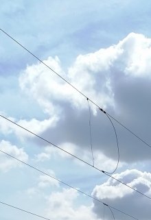 Нет слов, как всё отлично (Анна Пламен)