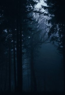 » Темный лес » (Анстас)