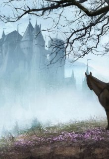 Приключения в замке (из воспоминаний оруженосца) (Fantanella)