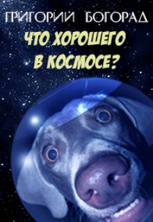 Что хорошего в космосе? (Григорий Богорад)
